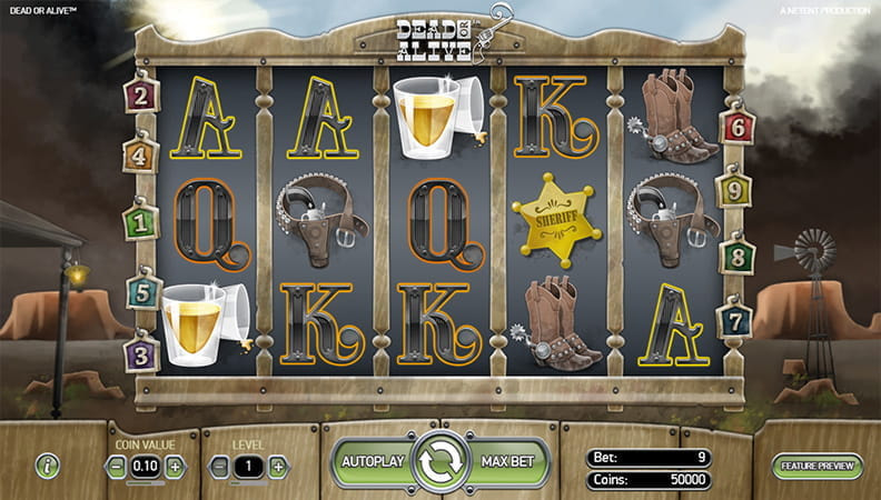 Het Dead or Alive demo spel