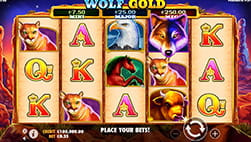 Wolf Gold slot in 711 Casino