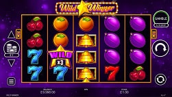 Wild Winner slot bij Fair Play Casino